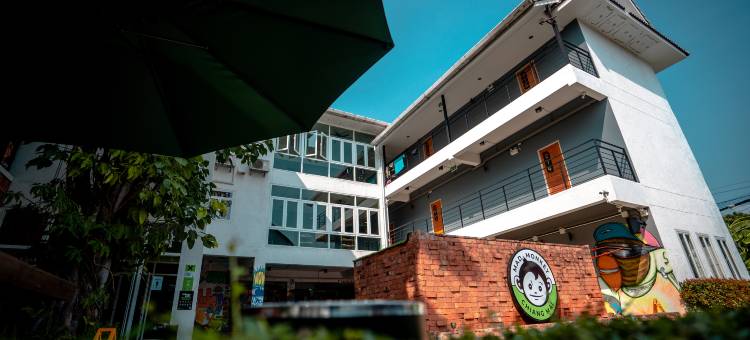 清迈狂猴(Mad Monkey Chiang Mai)图片