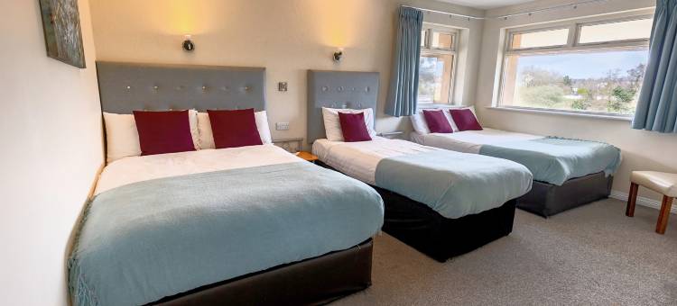 基拉尼美景住宿加早餐旅馆(Killarney View House B&B)图片