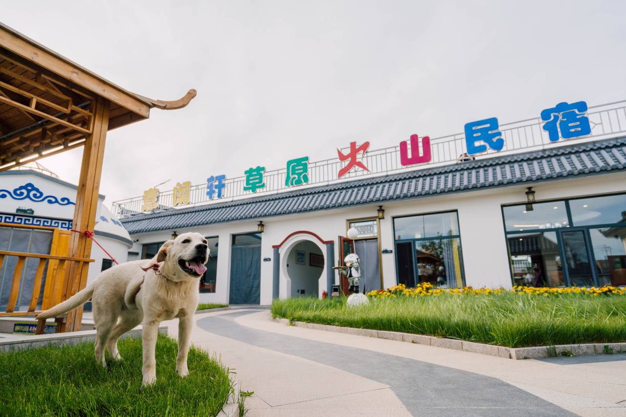 意阑轩·牧云轻奢度假民宿(乌兰哈达火山地质公园店)图片