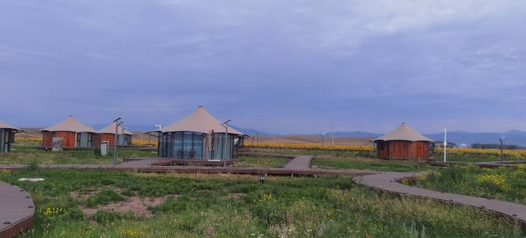 天马骑士野奢营地图片