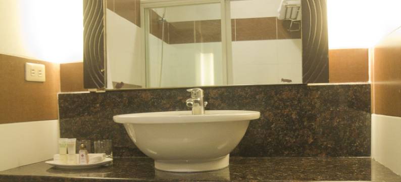 伦布兰特酒店(Hotel Rembrandt)图片