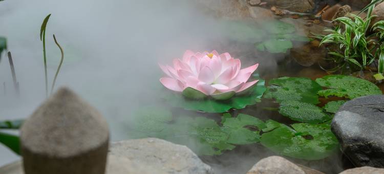 平云别院·观景四合院(大同古城店)图片