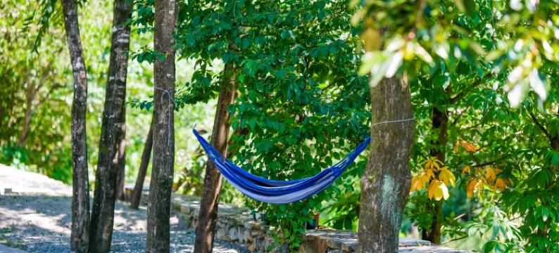 宜隐居民宿图片