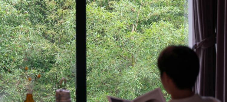 安吉花野青上·HUAYE丨宋韵美学·星空竹海丨设计师美宿图片