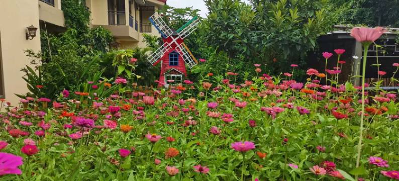 元谋小满民宿图片