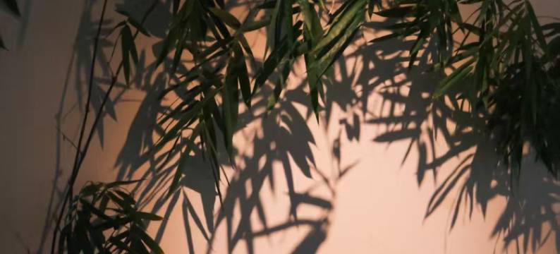 花筑奢·五台山明斋云居观景酒店(五爷庙殊像寺店)图片