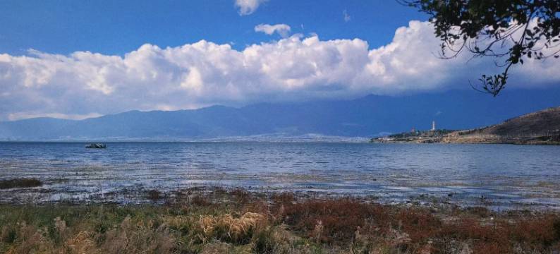 大理自由自在民宿(理想邦店)图片