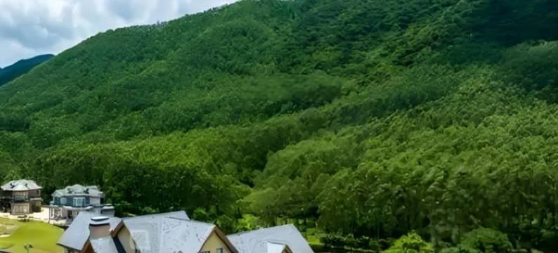 江门花漾水岸别墅(温泉小镇店)图片