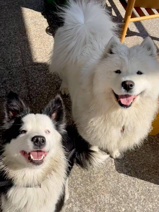 大乐之野(桐庐店)图片