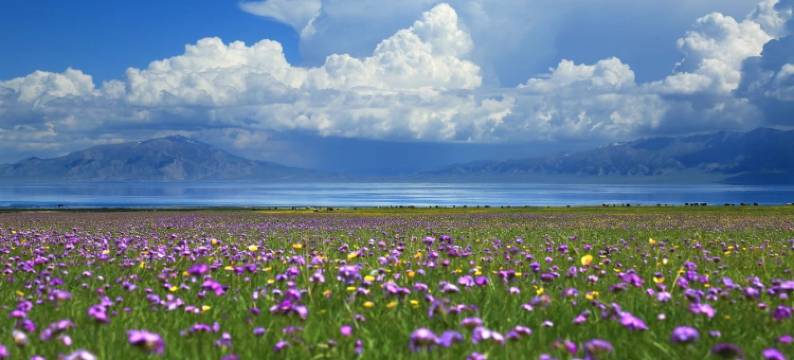 天鹅乐水民宿(赛里木湖景区店)图片