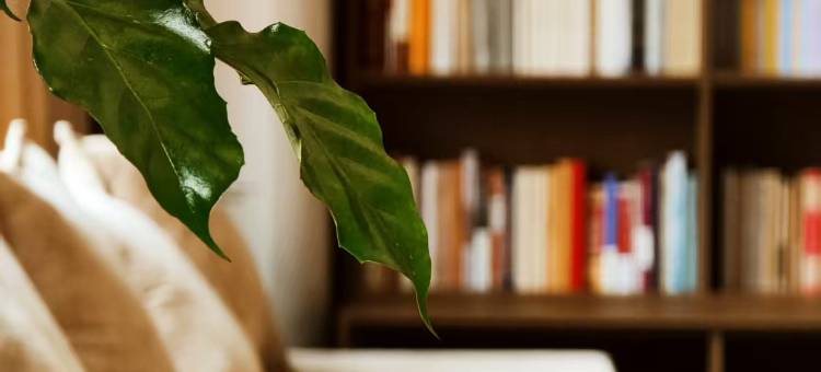 龙凤阁民宿酒店(景德镇高铁北站陶溪川路店)图片