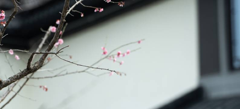 安吉二月花汤泉度假酒店图片