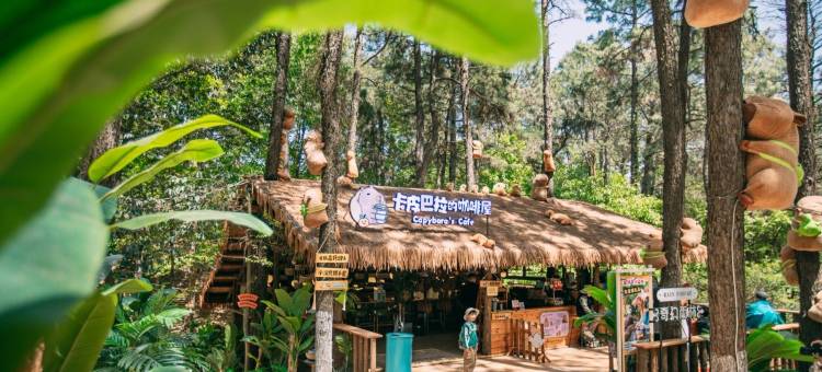 茅山森林世界度假村小熊猫庄园酒店图片