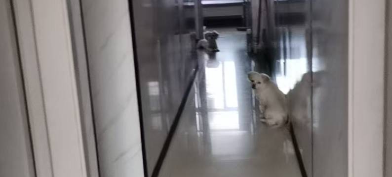 华梦悦民宿图片