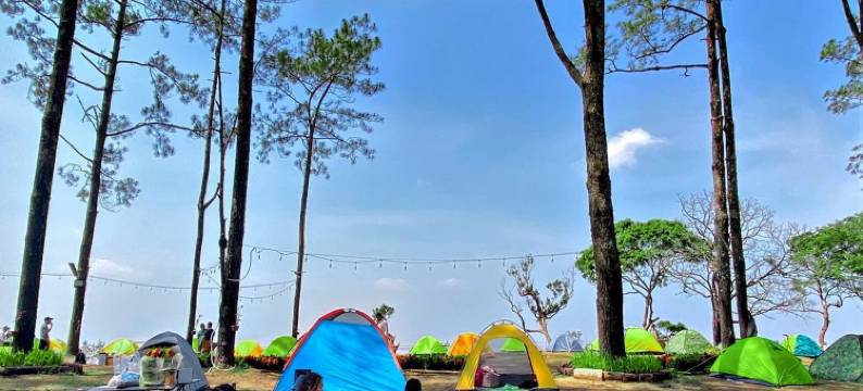 Camping Park Resort by EHM图片