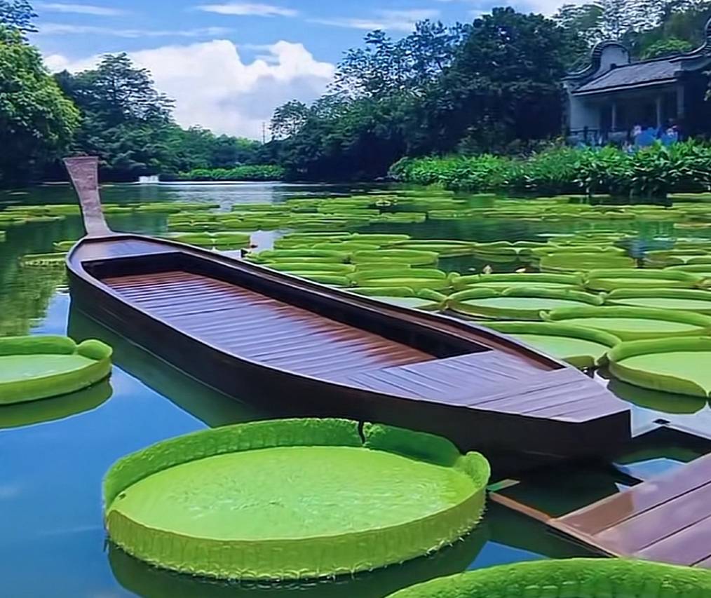 美豪丽致酒店(南宁朝阳广场明秀路地铁站店)图片