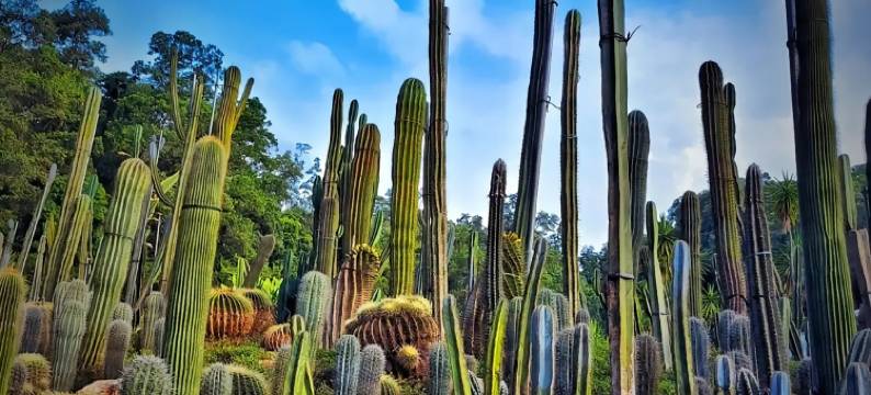 万科行旅AWAKENING•SOULMATE深南道68号国际轻居(深圳罗湖口岸店)图片