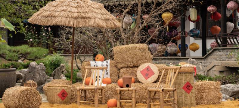 苏州同里湖大饭店图片