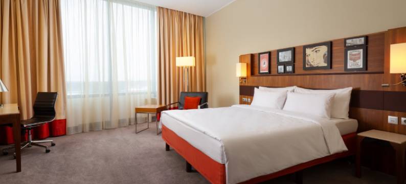 莫斯科谢列梅捷沃机场宇宙精选酒店(Cosmos Selection Moscow Sheremetyevo Airport Hotel, a Member of Radisson Individuals)图片