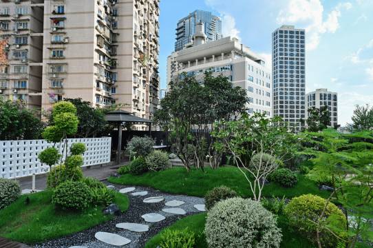 SFEEL设计师酒店(重庆解放碑洪崖洞店)图片