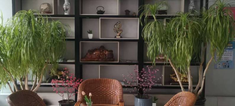 华驿酒店(临沂汤头华太店)图片