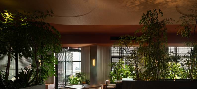 态酒店(长沙五一广场IFS国金中心店)图片