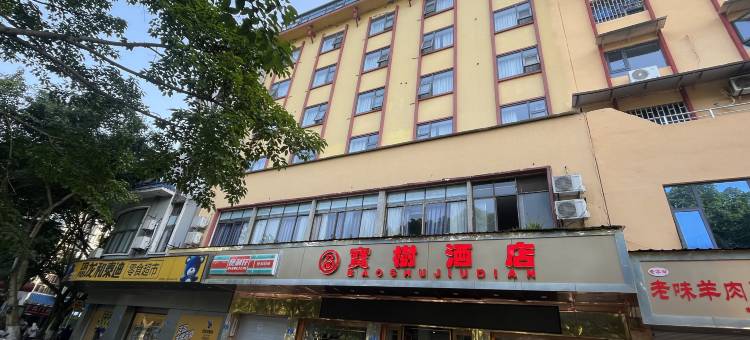 宝树酒店图片
