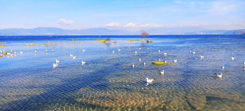 抚仙湖嘉沐别墅(月亮湾湿地公园店)图片