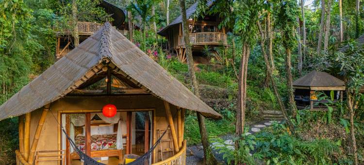 Bamboo Turtles Ecolodge图片