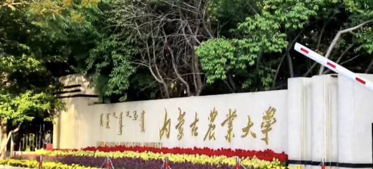 呼和浩特·欢住悦致轻奢酒店(赛罕区政府师大店)图片