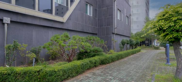 豪华酒店(Mokpo Myeongpum Hotel)图片