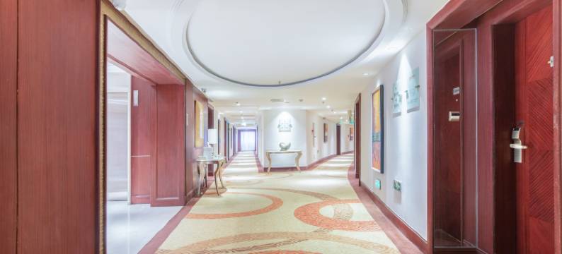 成都泰合国际大饭店(春熙路太古里店)图片