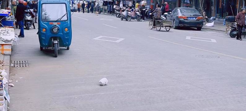 临海锦平居客栈图片