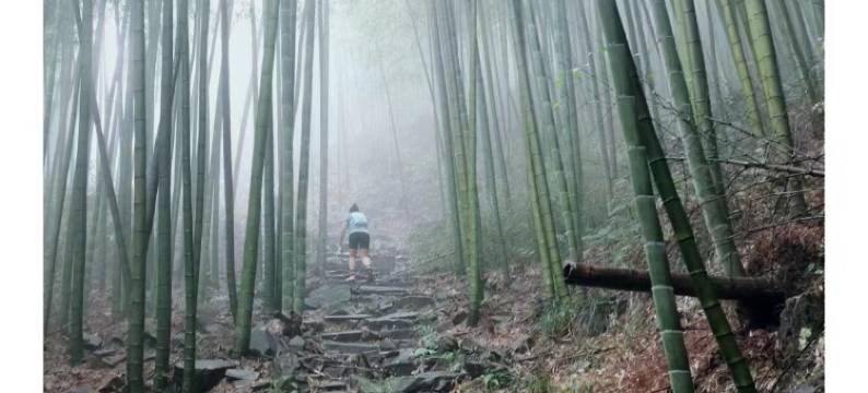 莫干山·栖山南苑度假屋图片