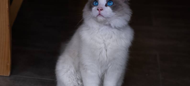 一见一山上品民宿(西江千户苗寨观景台店)图片