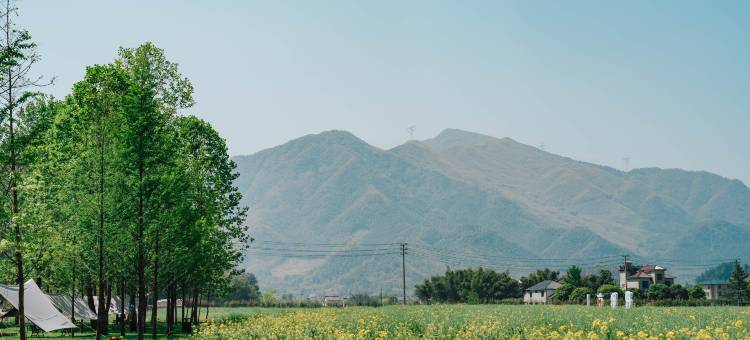 金乐雷迪森怿曼酒店图片