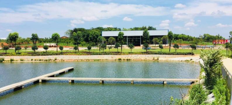 梁子湖新天地农庄图片