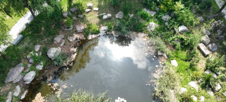 荷畔酒店(烟台大学烟台体育公园店)图片