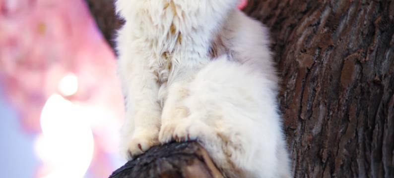 天目湖涵田度假村•萌舍图片