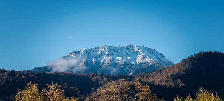 拾山涧设计师民宿图片