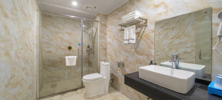 雅斯特美途酒店(河池东兰店)图片