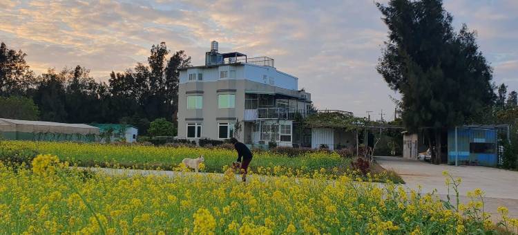 金门东一点红金墩园民宿图片