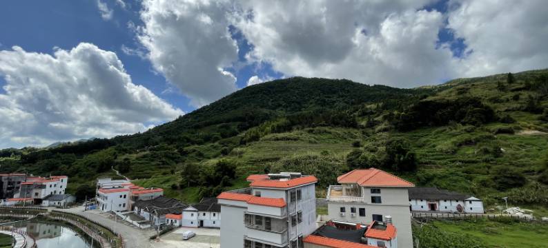 陆河两山森林康养民宿(万东店)图片