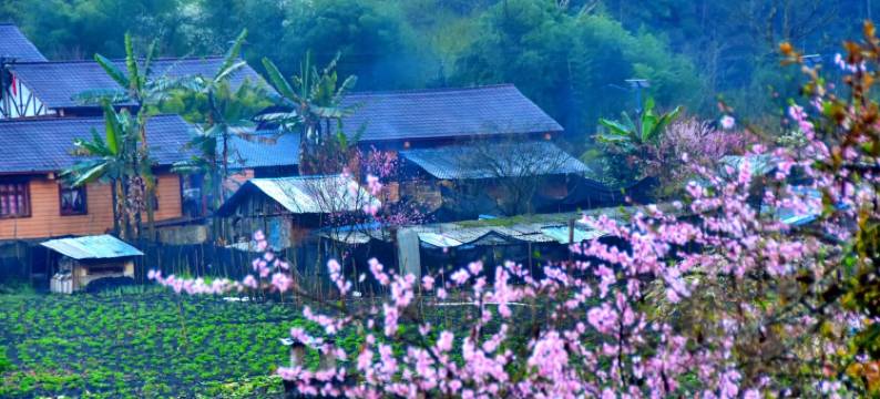 贡山蓝湾精品酒店(独龙江店)图片
