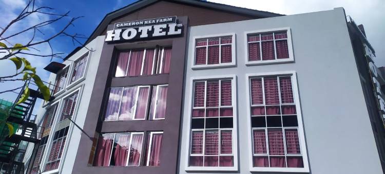金马伦基亚农场酒店(Cameron Kea Farm Hotel)图片