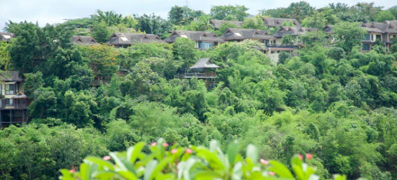 南山藏一  | 人文半山设计师·天地合院别墅度假酒店图片