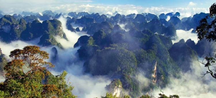 发现弄岗艺术民宿图片