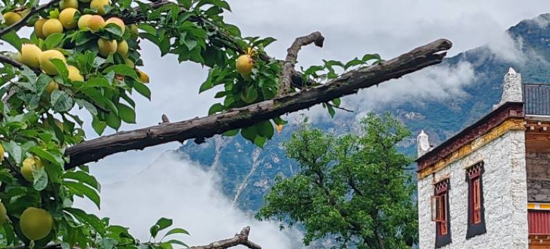 丹巴丹路燃道民宿(中路藏寨景区店)图片