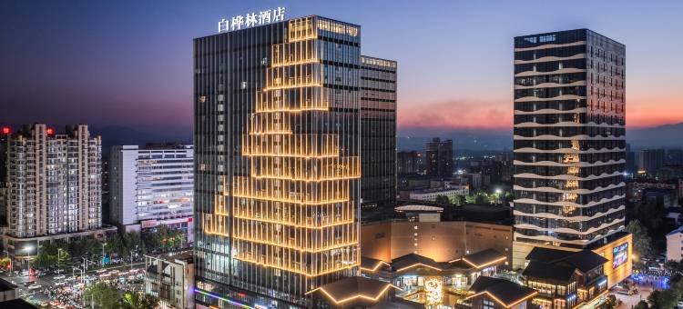 新密白桦林酒店(中强光年城市广场店)图片