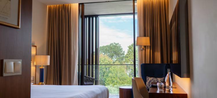 博伊拉花园酒店-加亚港希尔顿格芮精选酒店(Boeira Garden Hotel Porto Gaia, Curio Collection by Hilton)图片